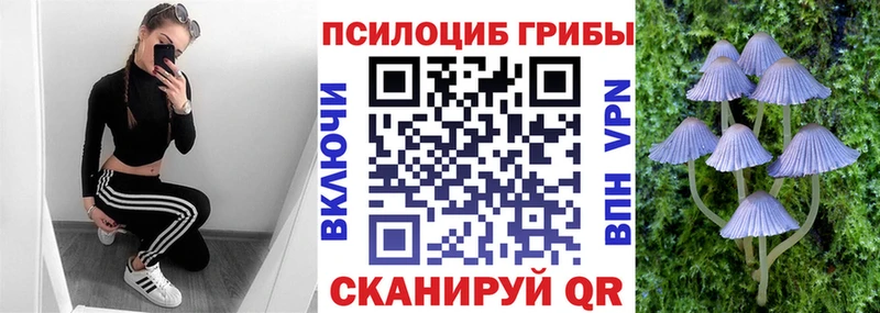 закладка  Сорочинск  МЕГА онион  Псилоцибиновые грибы ЛСД 