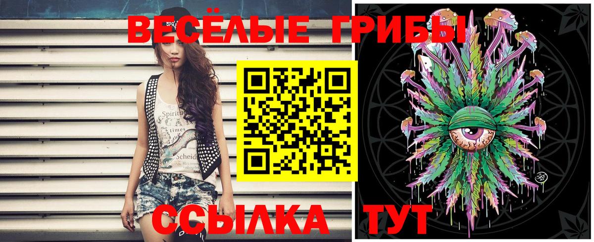 Псилоцибиновые грибы Magic Shrooms  Вход с VPN  Галлюциногенные грибы GOLDEN TEACHER  Сорочинск 
